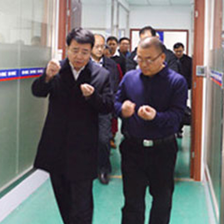 青岛市副市长张德平等政府领导视察公司。